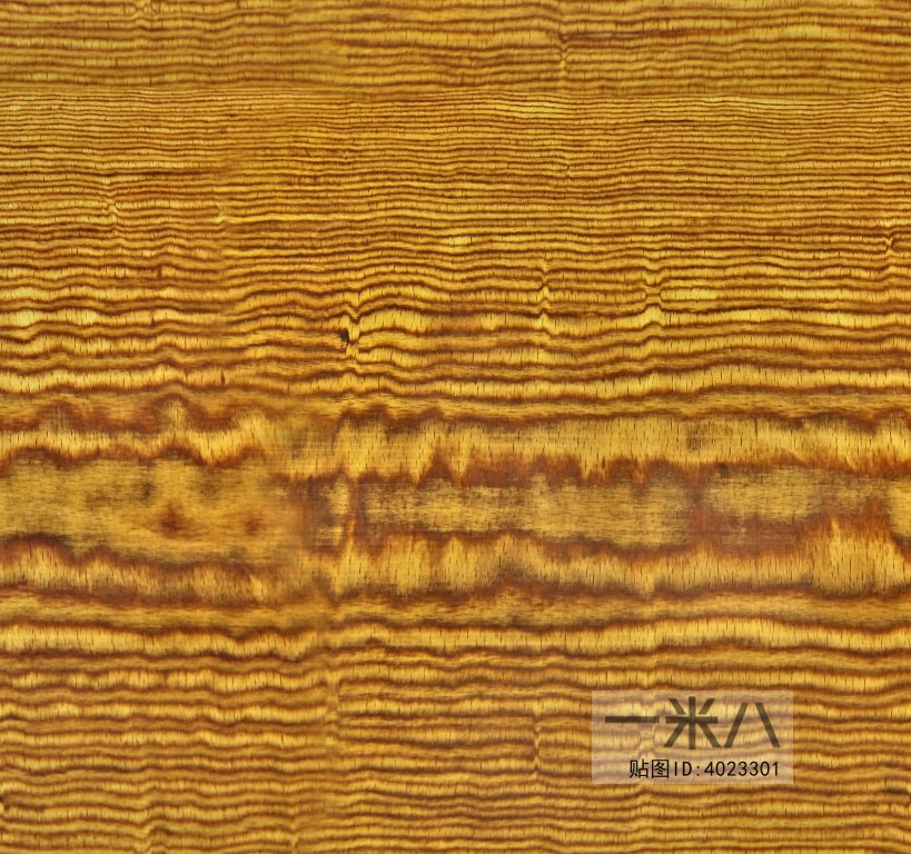 Wood Texture