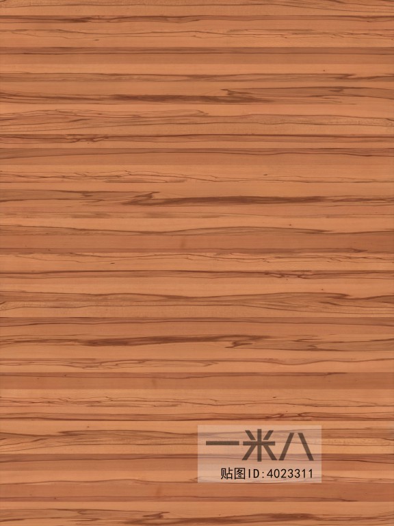 Wood Texture