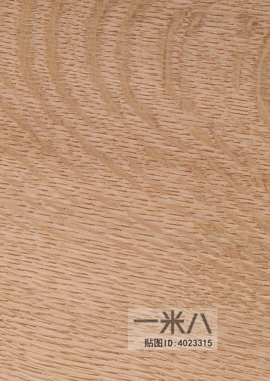 Wood Texture