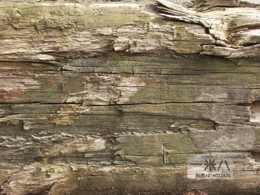 Old Wood Texture