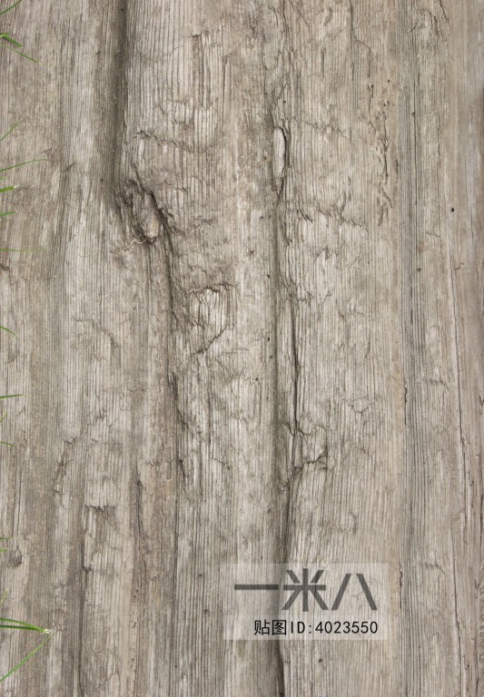 Old Wood Texture