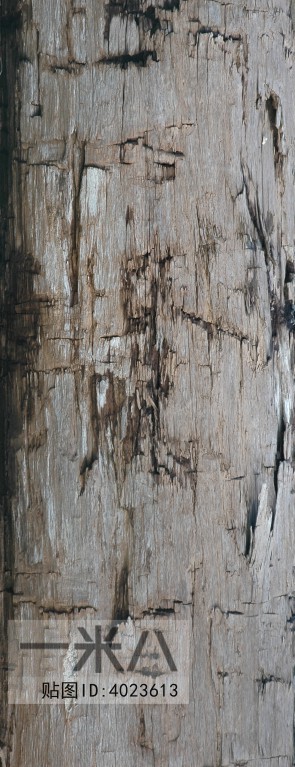 Old Wood Texture