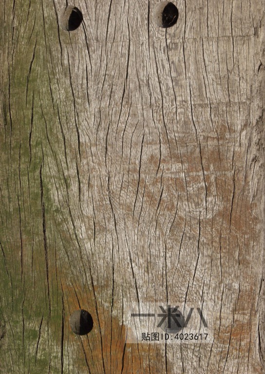 Old Wood Texture