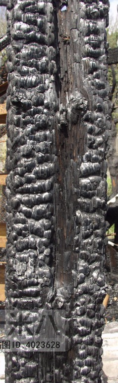 Charcoal Wood