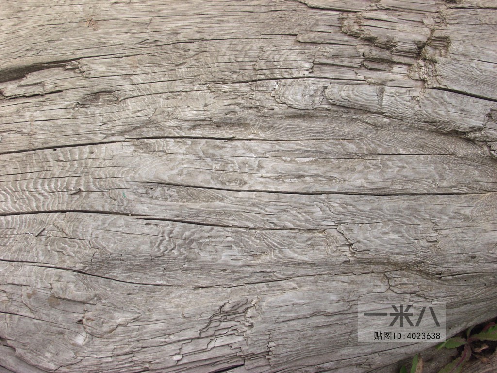 Old Wood Texture