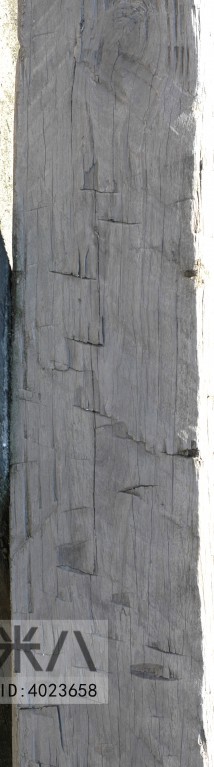 Old Wood Texture