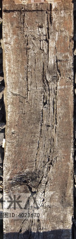 Old Wood Texture