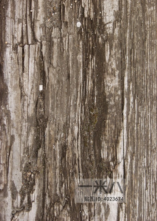 Old Wood Texture