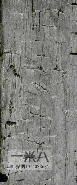 Old Wood Texture