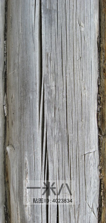 Wood Plank