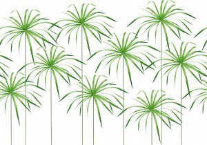 Animal And Plant Pattern Wallpaper