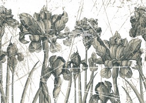 Animal And Plant Pattern Wallpaper