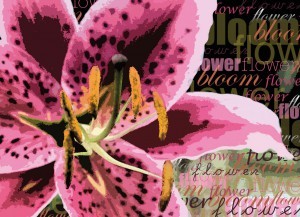 Animal And Plant Pattern Wallpaper