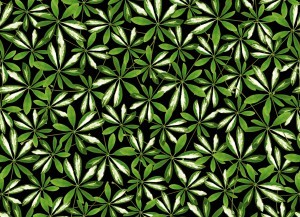 Animal And Plant Pattern Wallpaper