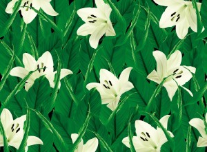 Animal And Plant Pattern Wallpaper