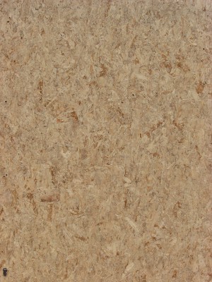 Plywood Texture