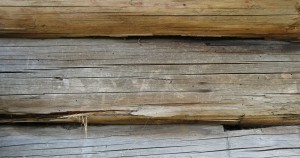 Wood Plank