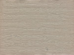 Plywood Texture