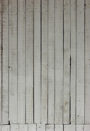 Plywood Texture