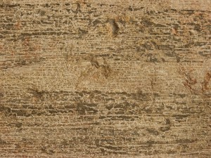 Plywood Texture