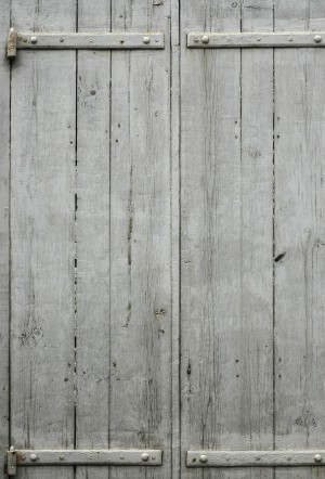 Plywood Texture