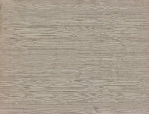 Plywood Texture