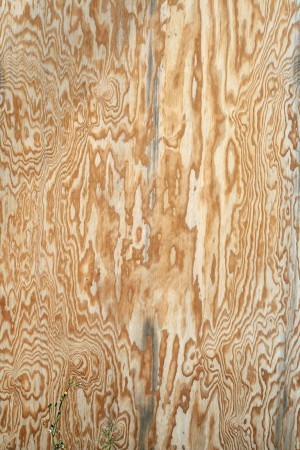 Plywood Texture