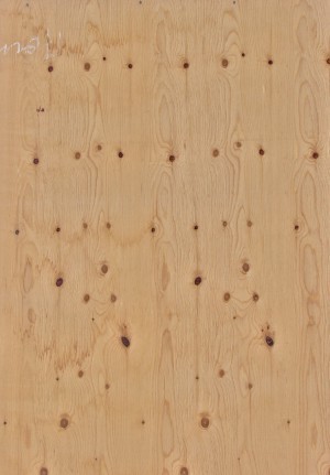 Plywood Texture