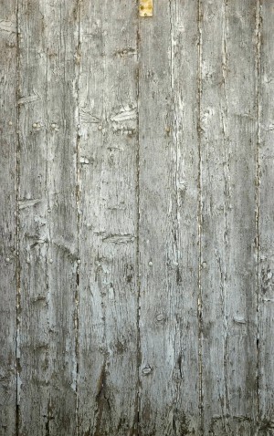 Plywood Texture