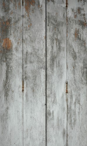 Plywood Texture