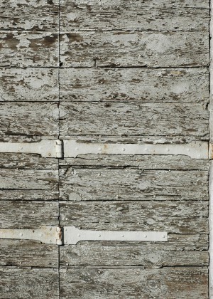 Plywood Texture