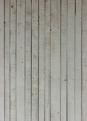 Plywood Texture