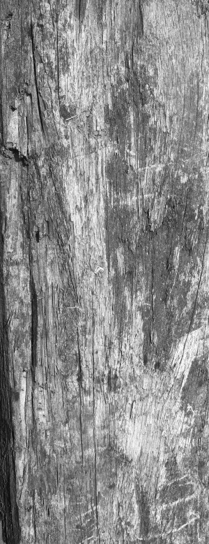 Other Wood Textures