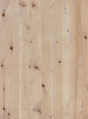 Plywood Texture