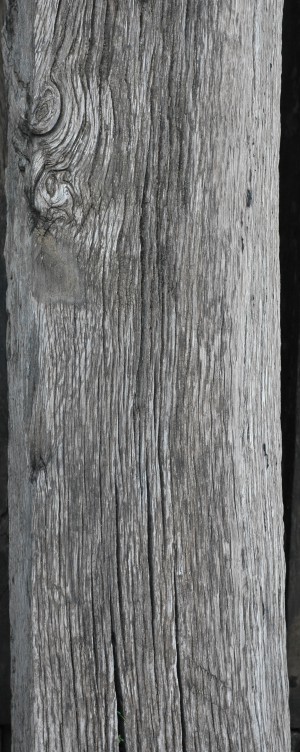 Wood Plank