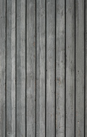 Plywood Texture