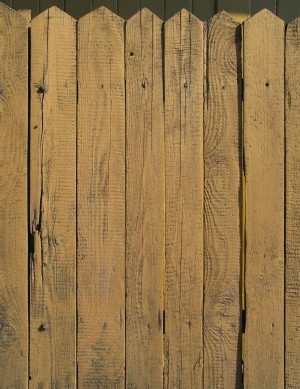 Plywood Texture