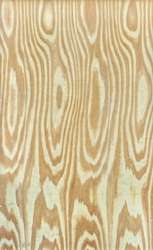 Plywood Texture