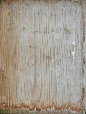 Plywood Texture