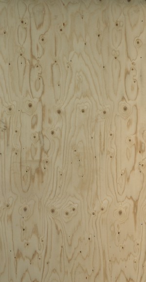 Plywood Texture