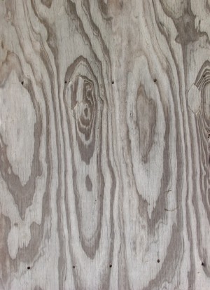 Plywood Texture