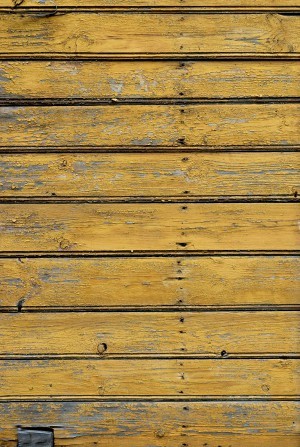 Plywood Texture