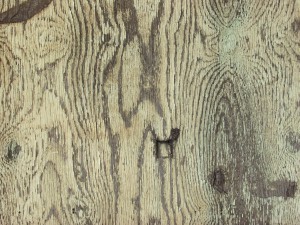 Plywood Texture