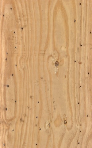 Plywood Texture