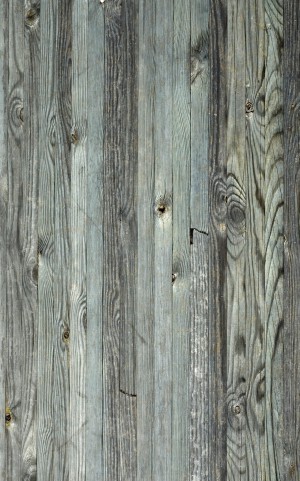 Wood Plank