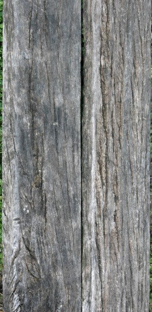 Wood Plank