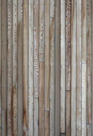 Wood Plank