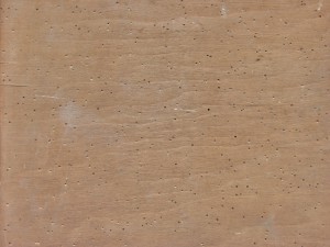 Plywood Texture