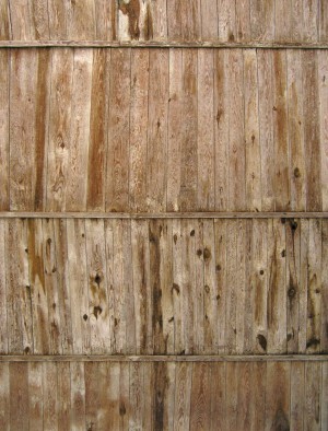 Wood Plank