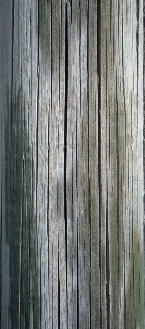 Wood Plank